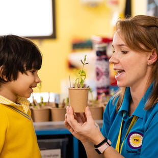 دار حضانة الشمس المشرقة | حضانة في الكويت | أعمار 1 - 4 - Feature Cards Pattern