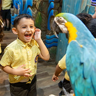 دار حضانة الشمس المشرقة | حضانة في الكويت | أعمار 1 - 4 - Feature Cards Pattern