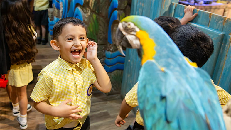 دار حضانة الشمس المشرقة | حضانة في الكويت | أعمار 1 - 4 - Feature Cards Pattern