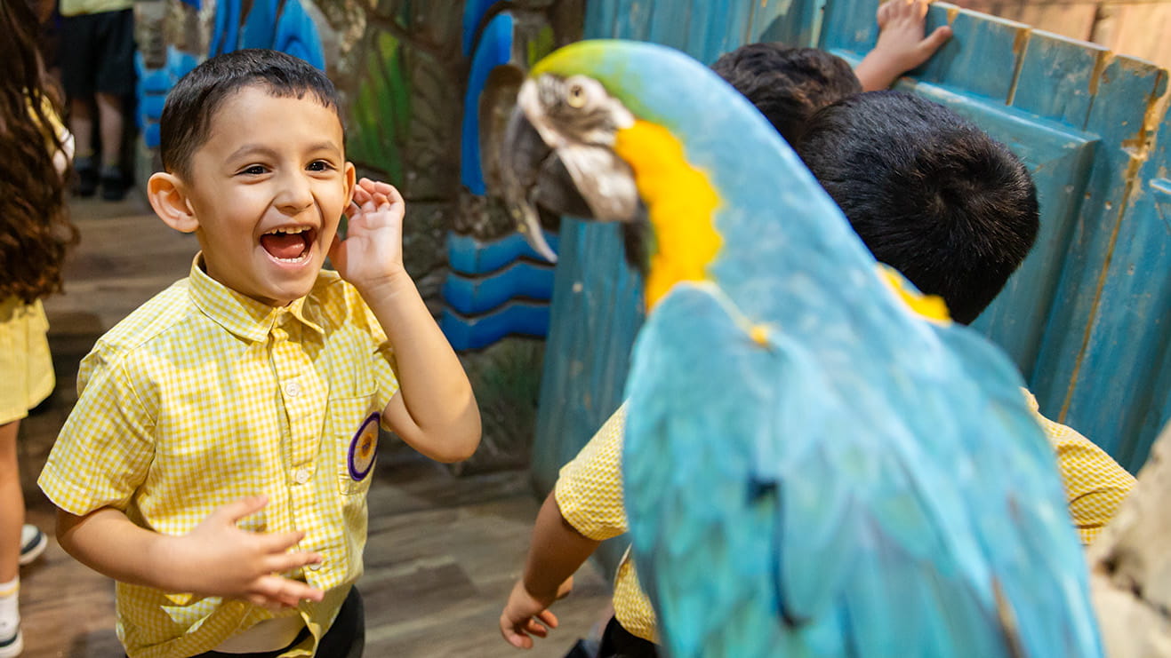 تجارب رائعة | دار حضانة الشمس المشرقة - 01 - Level 2 Page Header With Text Only