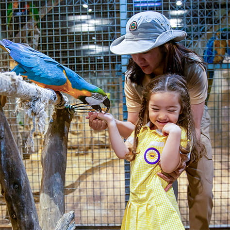 TSK_OutstXP_Smalltextimg_474x474_1