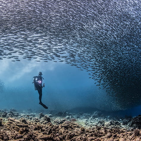 Moving to Kuwait | The Sunshine Kindergarten in Kuwait - 02 - Feature Cards Pattern