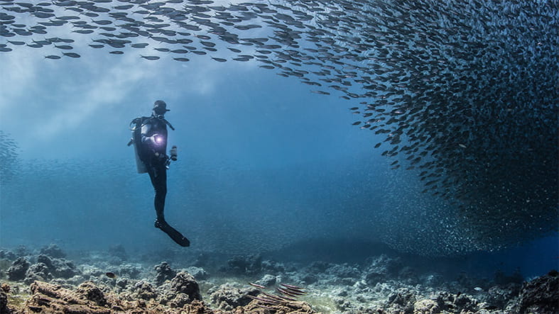 الانتقال إلى الكويت | دار حضانة الشمس المشرقة في الكويت - 02 - Feature Cards Pattern